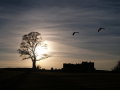 Sights of Birmingham: Toposcope on Beacon Hill