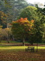 Sights of Birmingham: Cannon Hill Park