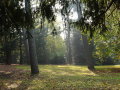 Sights of Birmingham: Cannon Hill Park