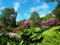 Sights of Birmingham: The Botanical Gardens